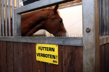 Oberoderwitz  Deutschland  Schild -Fuettern verboten- an einer Pferdebox
