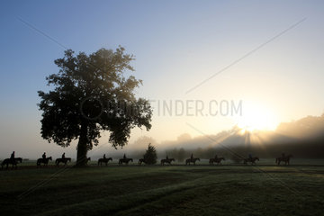 Chantilly  Frankreich  Reiter und Pferde beim Ausritt am Morgen