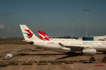 Sydney  Australien  Blick auf Flugzeuge auf dem Flughafen Sydney