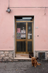 Posada  Italien  Hund wartet draussen