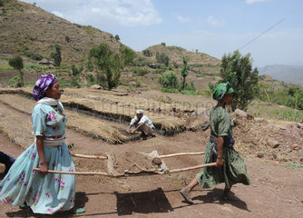 Key Afer  Aethiopien  Frauen bei der Feldarbeit