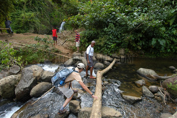 St. Georges  Grenada  Reisegruppe auf Wanderung durch den tropischen Dschungel