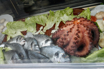 Madrid  Spanien  Fische und Oktopus im Schaufenster
