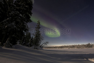 Aekaeskero  Finnland  Polarlichter ueber einer Winterlandschaft bei Nacht