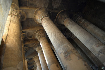 Esna  Aegypten  Kapitelle der Saeulenhalle des Chnum-Tempels