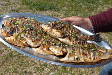 Ugljan  Kroatien  eine Fischplatte wird serviert