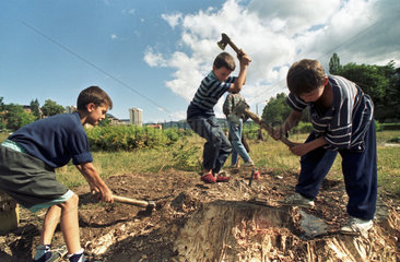 Sarajevo  Bosnien und Herzegowina  Jungen hacken Brennholz