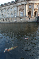 Berlin  Deutschland  Menschen schwimmen in der Spree
