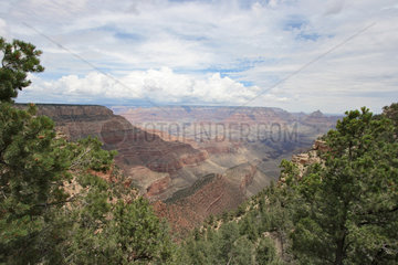 Flagstaff  USA  Ausblick in den Grand Canyon