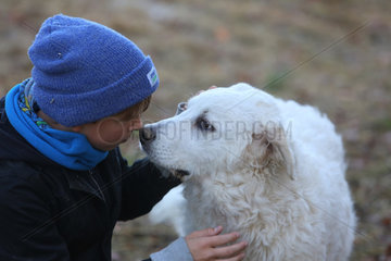 Neu Kaetwin  Deutschland  Junge kuschelt mit einem Pyrenaeenberghund