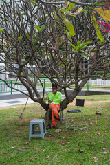 Singapur  Republik Singapur  Gastarbeiter macht eine Pause an einem Baum