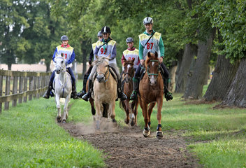 Neustadt (Dosse)  Deutschland  Reiterinnen und Pferde auf einem Distanzritt