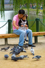 Seoul  Suedkorea  Vater mit Tochter beim Tauben fuettern