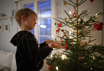 Belloe  Schweden  Junge hat einen Weihnachtsbaum geschmueckt