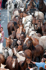 Almonte  Spanien  Saca de las yeguas - eine Pferdeherde wird durch die Stadt getrieben