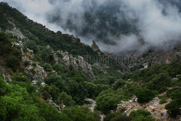Orosei  Italien  Berglandschaft im Parco Nazionale del Golfo di Orosei auf Sardinien