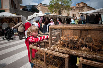 Sineu  Mallorca  Spanien  Vieh- und Kunsthandwerksmarkt
