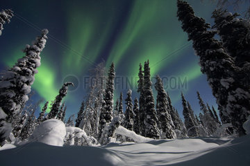 Aekaeskero  Finnland  Polarlichter ueber einer Winterlandschaft bei Nacht