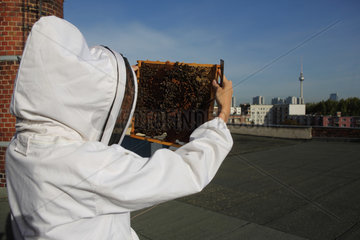 Berlin  Deutschland  Imkerin kontrolliert eine Brutwabe eines Bienenvolkes auf einem Dach  der Fernsehturm im Hintergrund