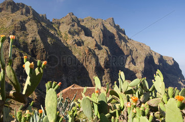 Masca  Spanien  Landschaft im Teno-Gebirge auf Teneriffa
