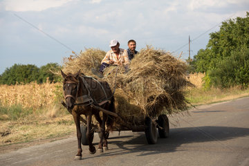 Republik Moldau  Bauern auf einem Pferdefuhrwerk transportieren Heu