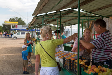 Republik Moldau  Verkauf von Obst an einer Tankstelle in der Naehe zur ukrainischen Grenze