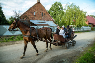 Starczanowo  Polen  Einheimische unterwegs mit Pferdekutsche