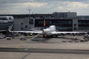 Frankfurt am Main  Deutschland  Boeing 747-400 der Lufthansa auf dem Flughafen Frankfurt