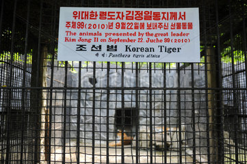 Pjoengjang  Nordkorea  Raubtiergehege im Korea Central Zoo