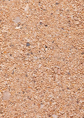 Sandprobe aus El Castillo  Fuerteventura  Spanien
