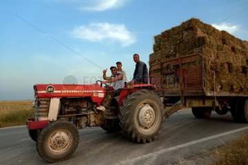 Famagusta  Tuerkische Republik Nordzypern  Bauern bringen die Heuernte ein