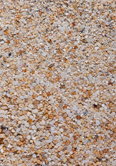Sandprobe aus Five Finger Island  Antigua