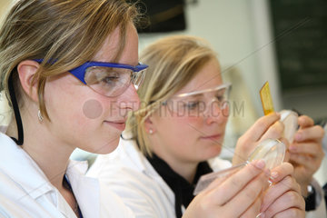 Berlin  Deutschland  Auszubildende zur Biologielaborantin im Labor