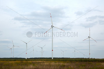 Tempelfelde  Deutschland  Windenergieanlagen eines Windparks