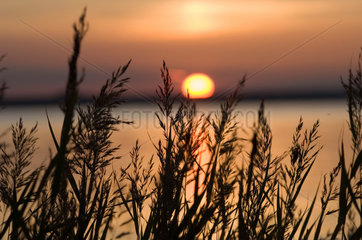 Luetow  Deutschland  Sonnenuntergang ueber der Bucht Achterwasser