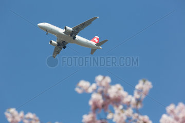 Berlin  Deutschland  fliegendes Flugzeug von Swissair und Kirschbluete