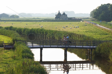 De Waal  Niederlande  Fahrradfahrer im Polder Waal en Burg