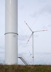 Tempelfelde  Deutschland  Windenergieanlagen eines Windparks