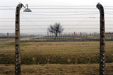 Auschwitz  Polen  Elektrozaun des Konzentrationslager Auschwitz-Birkenau