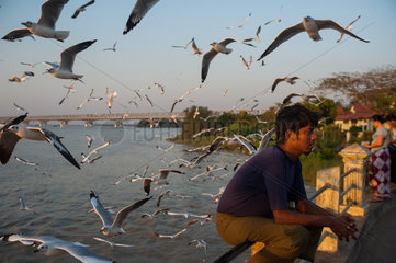 Mawlamyaing  Myanmar  Moewen an der Uferpromenade
