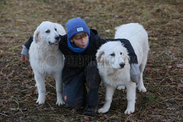 Neu Kaetwin  Deutschland  Junge umarmt zwei Pyrenaeenberghunde