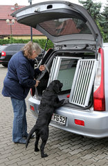 Neuenhagen  Deutschland  Frau steht mit ihrem jungen Labrador Retriever vor einer Autotransportbox