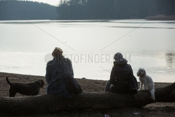 Berlin  Deutschland  Menschen mit ihren Hunden am Grunewaldsee