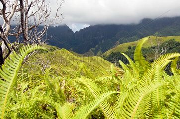 Omoa  Franzoesisch-Polynesien  Landschaft auf der Insel Fatu Hiva