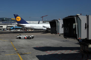 Frankfurt am Main  Deutschland  Maschine der Lufthansa und unbesetzte Gangways auf dem Flughafen Frankfurt