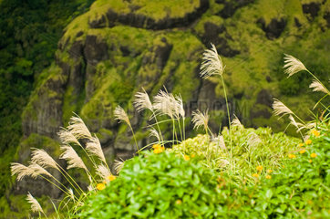 Omoa  Franzoesisch-Polynesien  Landschaft auf der Insel Fatu Hiva