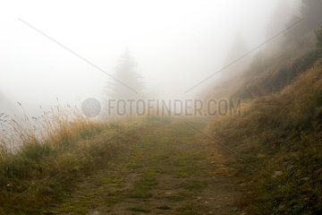 Riederalp  Schweiz  Nebel in den Bergen