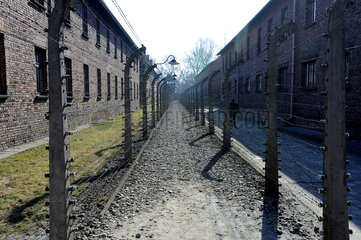 Auschwitz  Polen  Stromzaun am Konzentrationslager Auschwitz-Birkenau