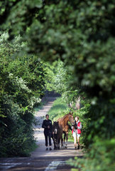 Schwerin  Deutschland  junge Frauen gehen mit ihren Pferden spazieren