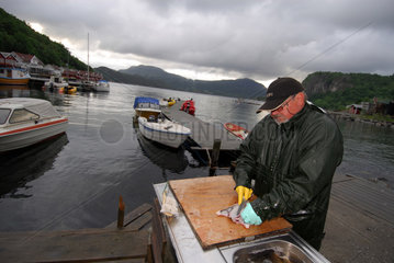 Hovda  Norwegen  Fischer zerlegt einen Fisch im Hafen von Hovda
